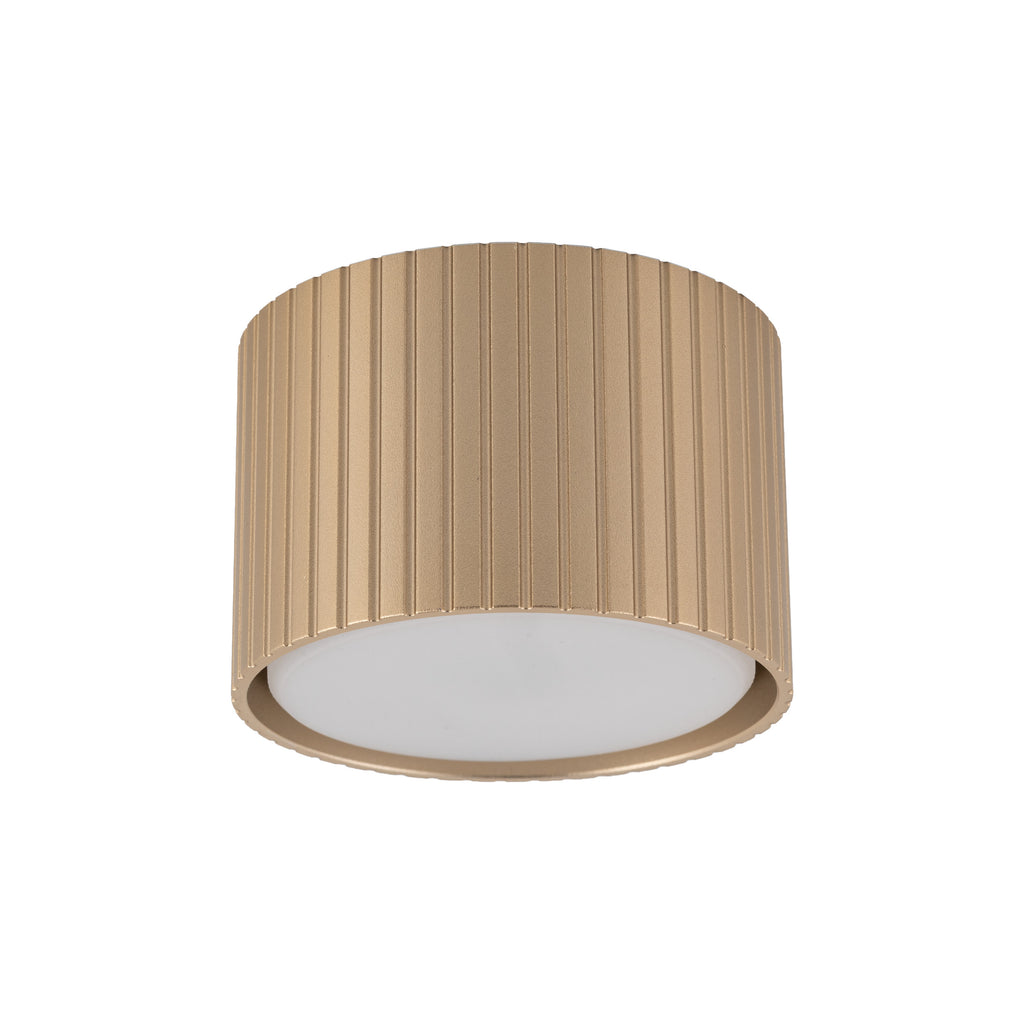 FERRO Downlight+ Ceiling Spotlight – Industrial 1xGX53