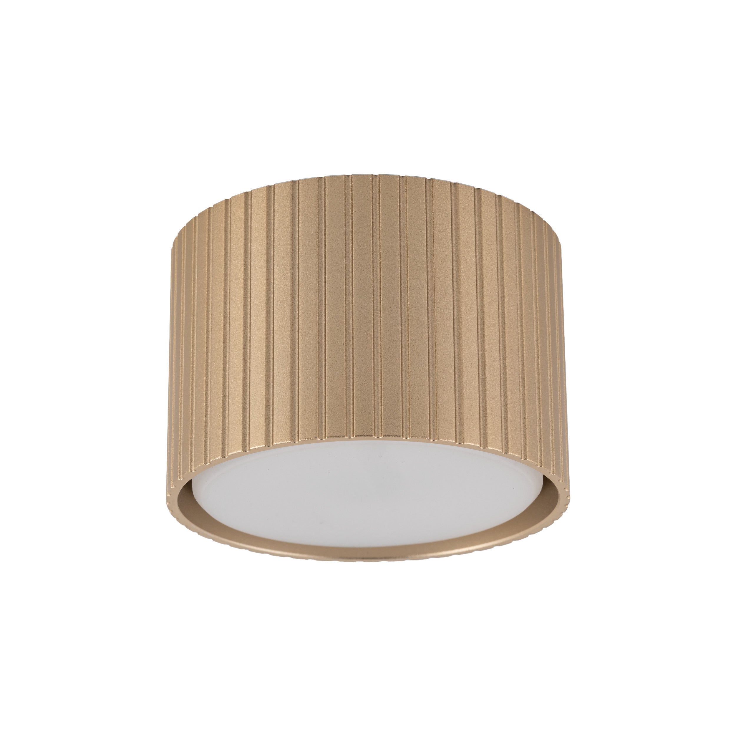 FERRO Downlight+ Ceiling Spotlight – Industrial 1xGX53