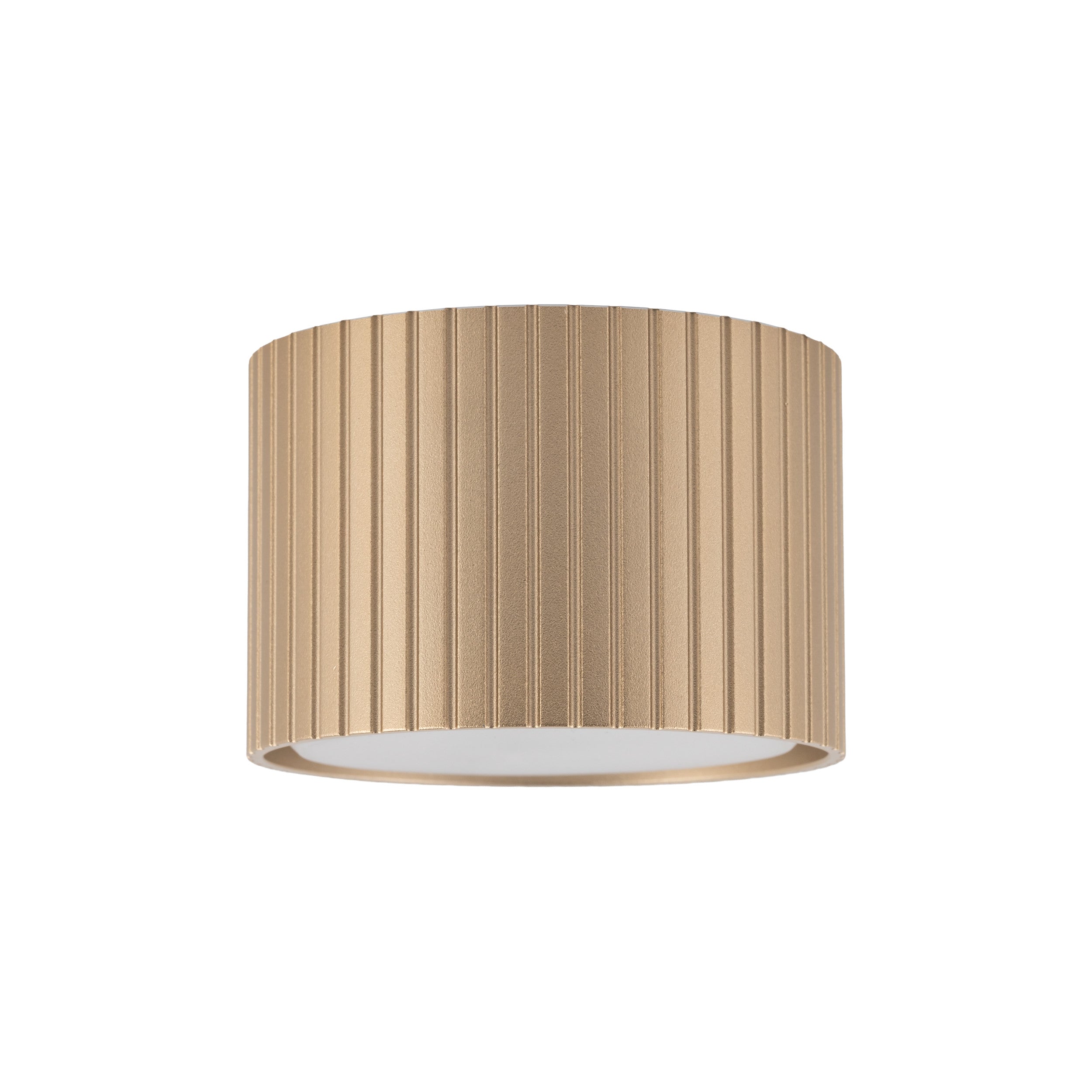 FERRO Downlight+ Ceiling Spotlight – Industrial 1xGX53