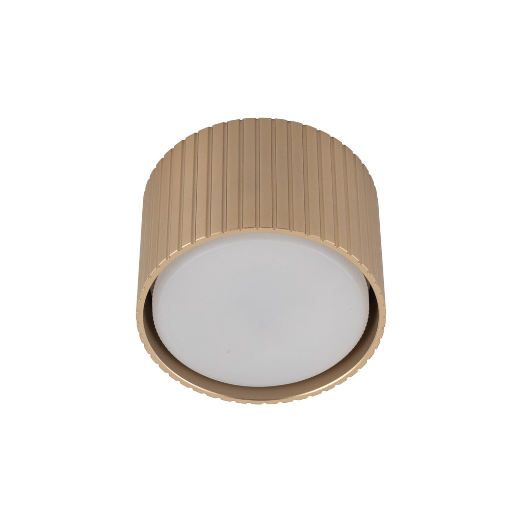 FERRO Downlight+ Ceiling Spotlight – Industrial 1xGX53