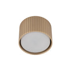 FERRO Downlight+ Ceiling Spotlight – Industrial 1xGX53