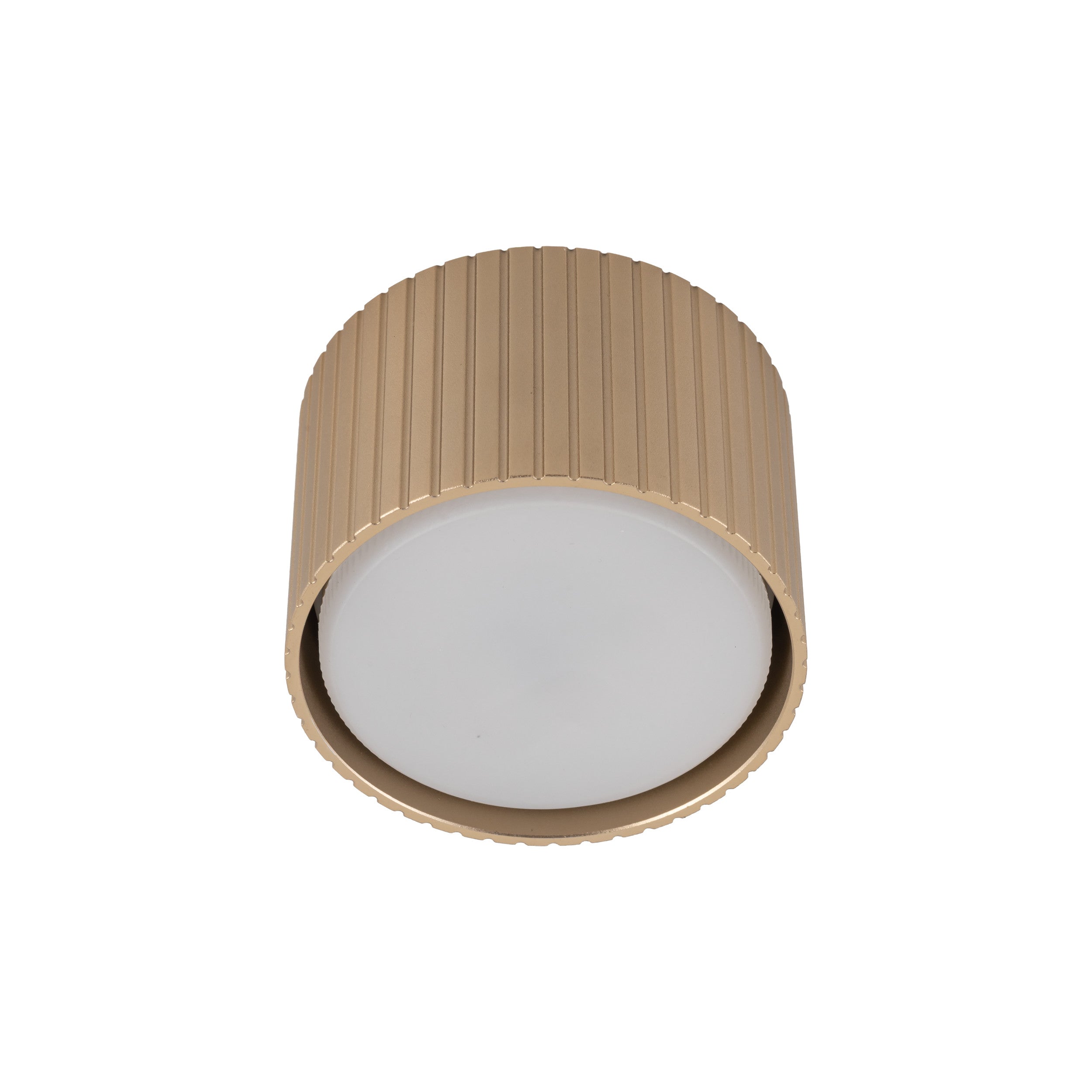 FERRO Downlight+ Ceiling Spotlight – Industrial 1xGX53