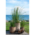 Hanoi Flowerpot — Natural