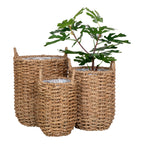 Hue Baskets - Baskets, seagrass, nature set of 3