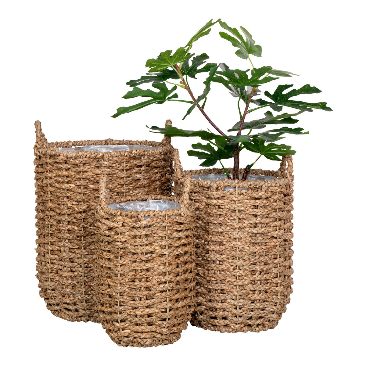 Hue Baskets — Natural