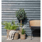 Bogor Baskets - Baskets, kubu rattan, natural set of 4