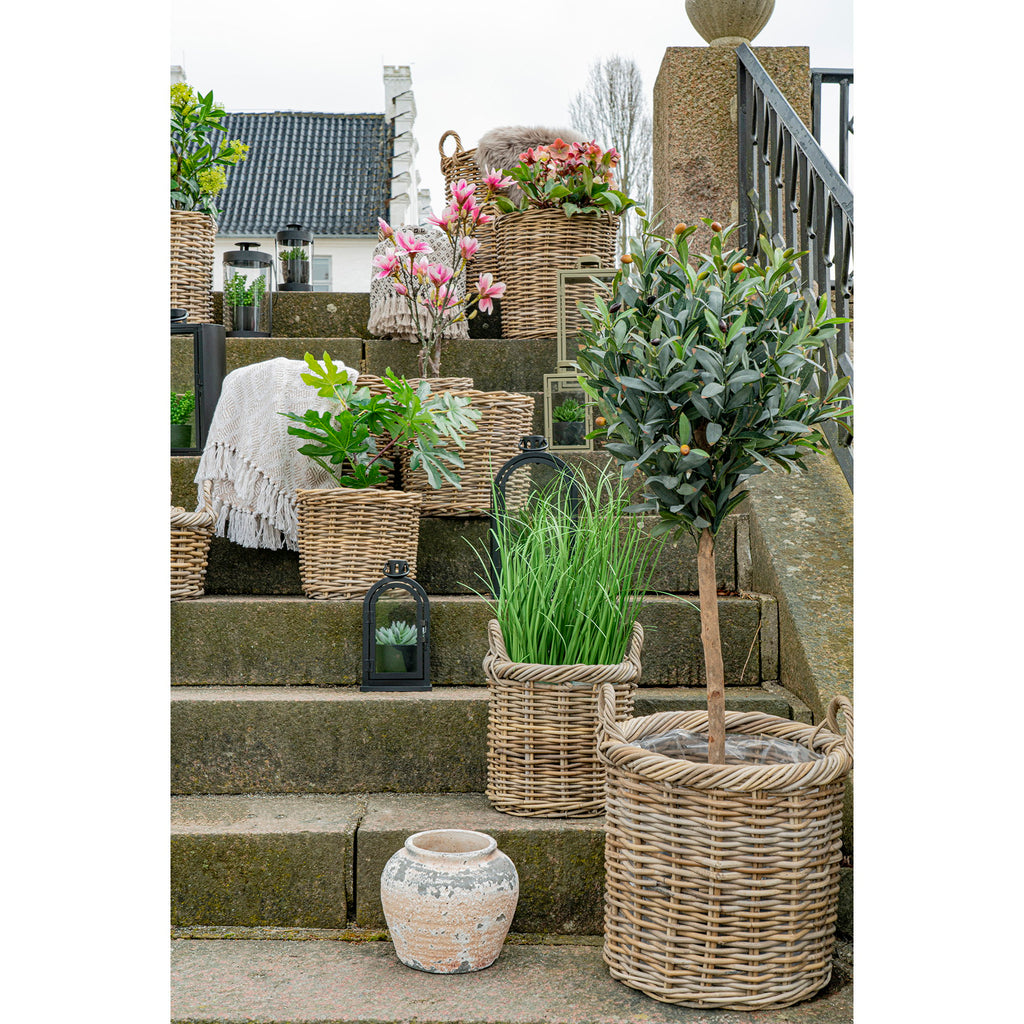 Gili Baskets — Natural