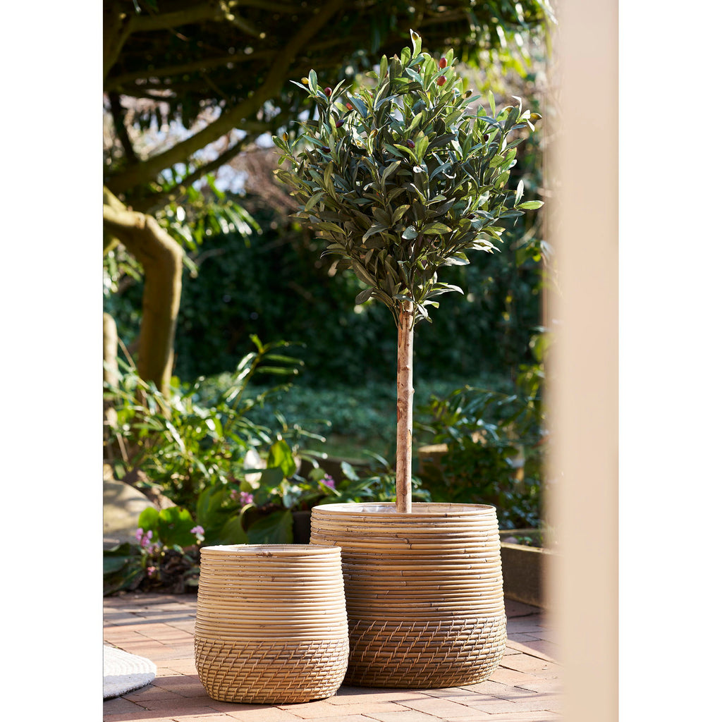 Moro Baskets - Baskets, kubu rattan, natural set of 2