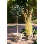 Kalak Baskets — Natural