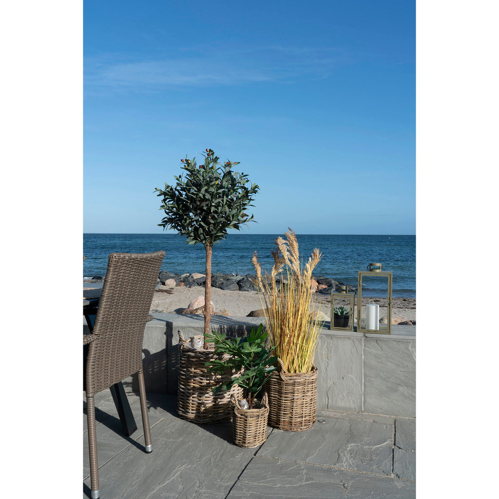 Sema Baskets - Baskets, kubu rattan, natural set of 3