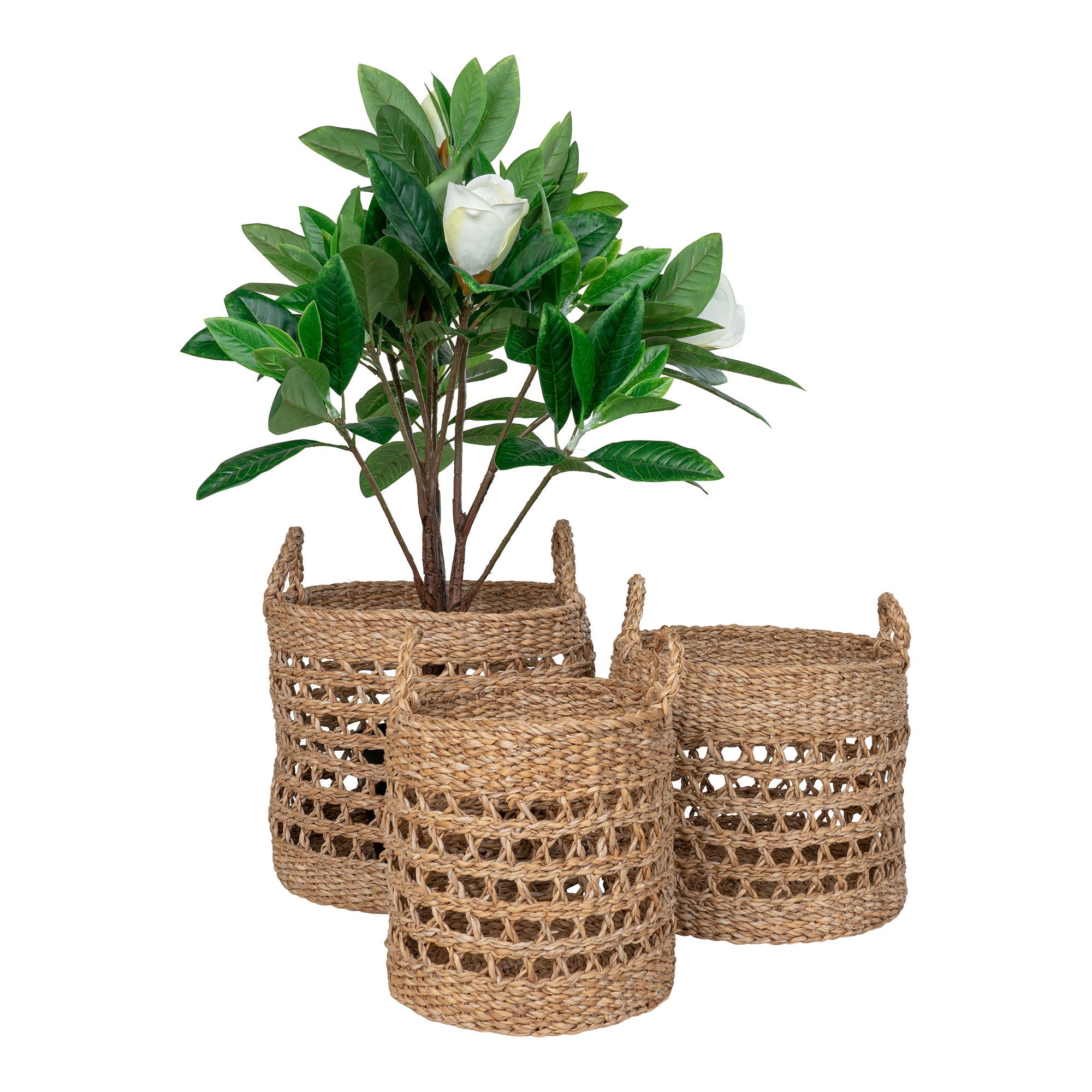 Balok Baskets - Baskets, seagrass, natural set of 3