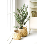 Strahan Baskets — Natural