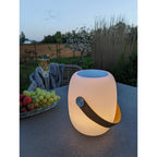 Cardiff LED Lamp — White