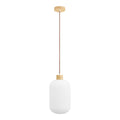 Argalo Pendant — White