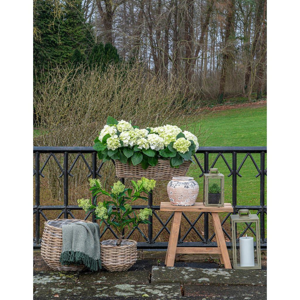 Corfu Lanterns — Green