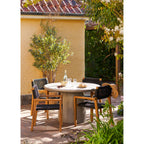 Anzio Dining Chair — Natural / Black