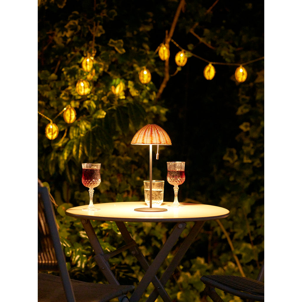 Carlisle LED String Light — Natural / Black
