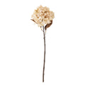 Hydrangea Stem, Nature, Artificial Flowers