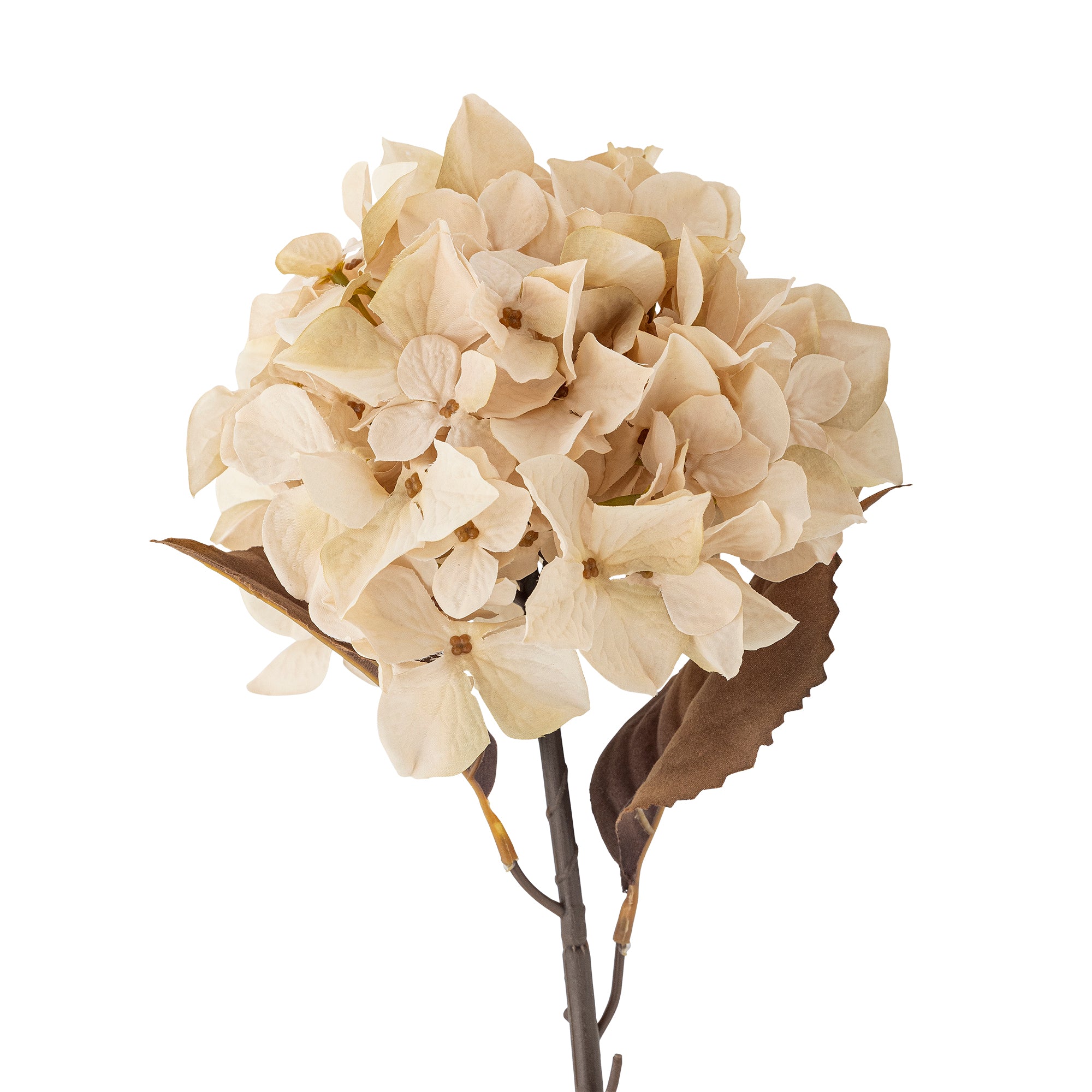 Hydrangea Stem, Nature, Artificial Flowers