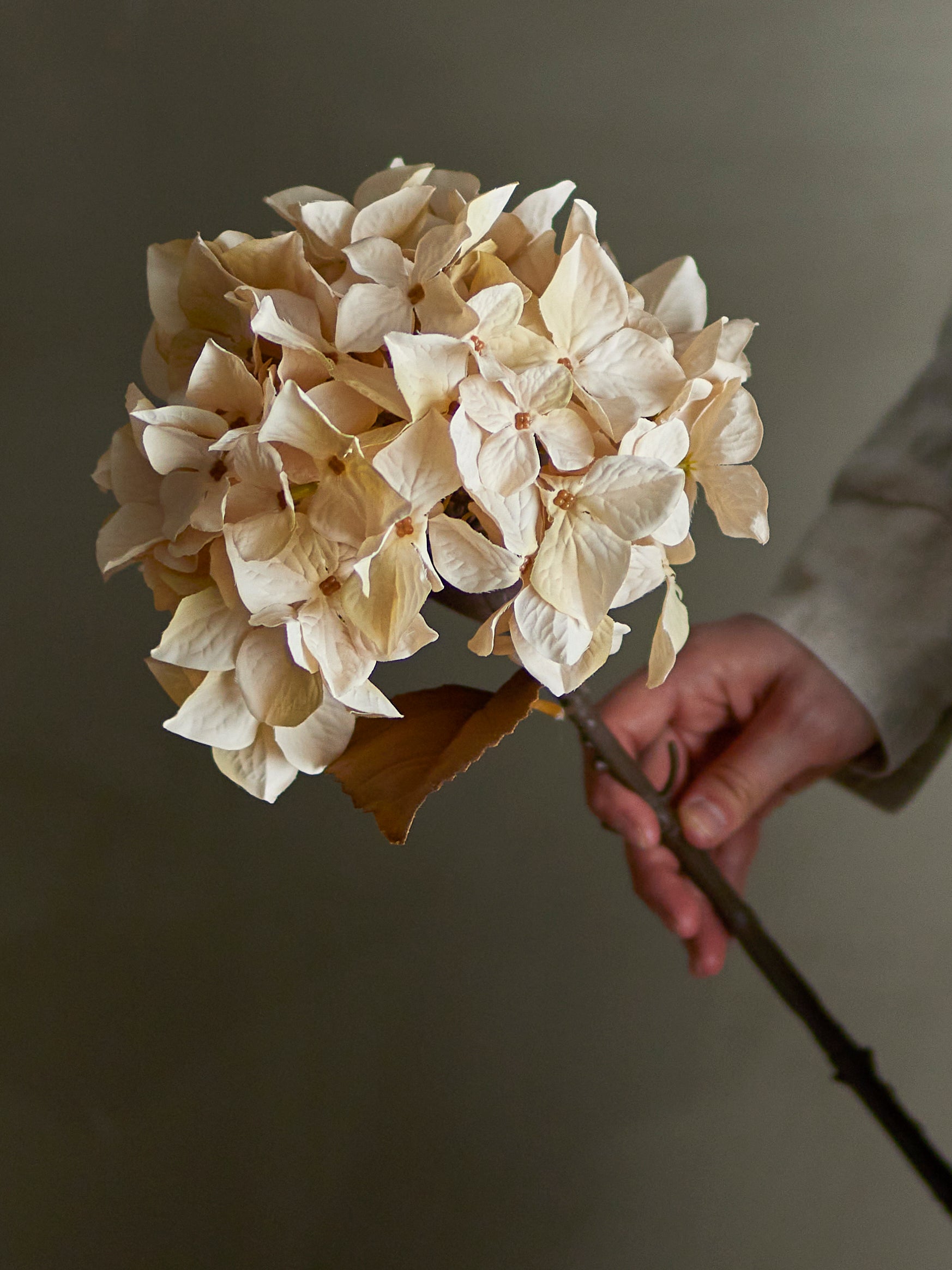 Hydrangea Stem, Nature, Artificial Flowers
