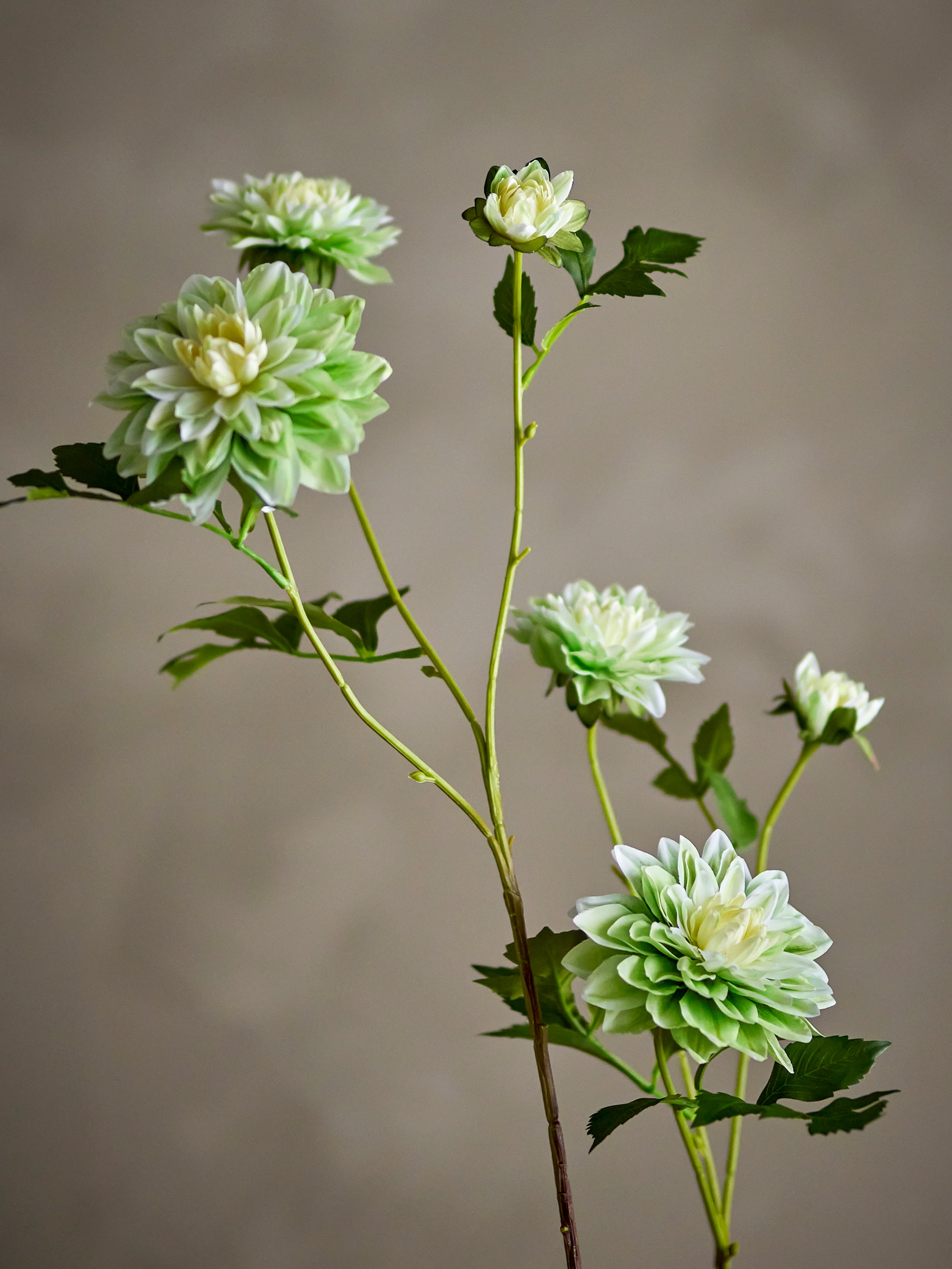Chrysantemum Stem, White, Artificial Flowers