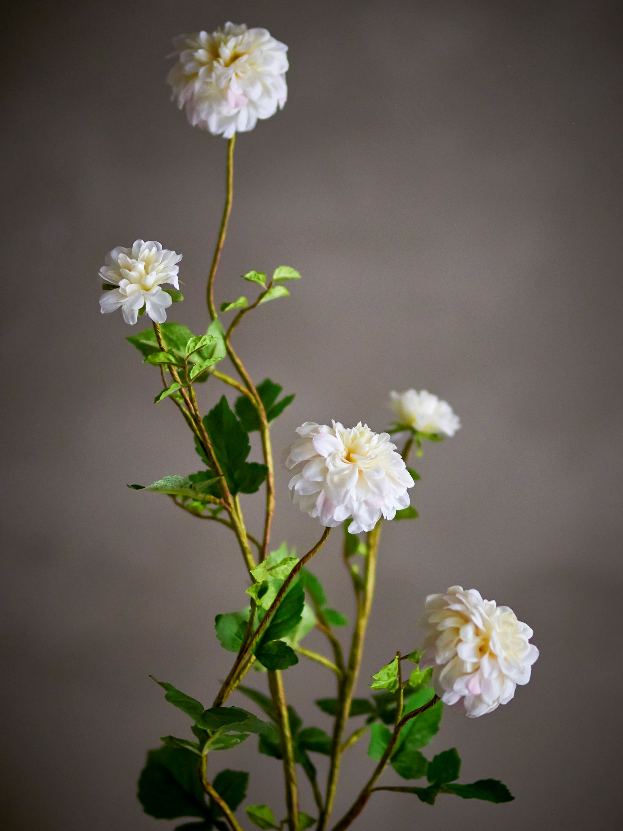 Chrysantemum Stem, White, Artificial Flowers