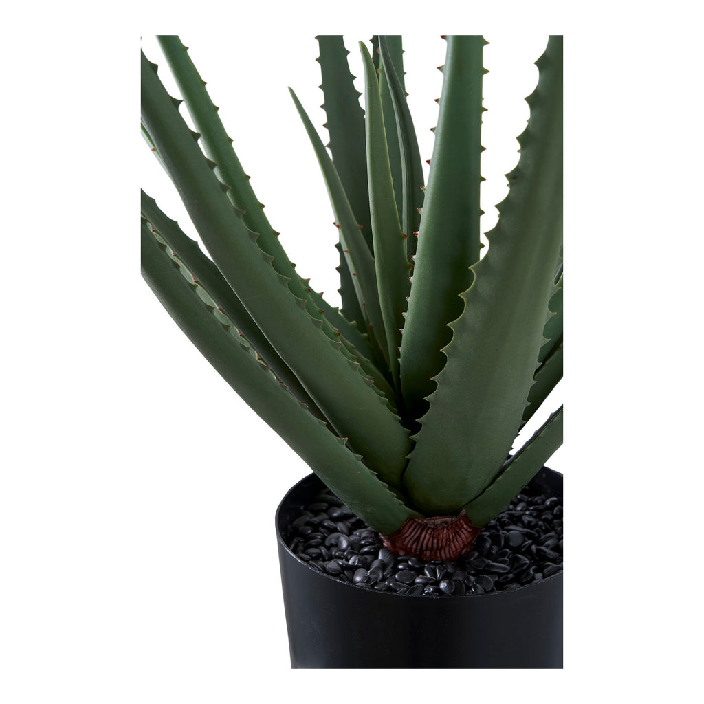 Aloe Vera - Artificial plant, green H:51 cm
