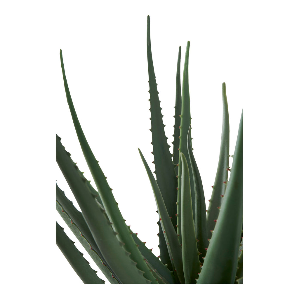 Aloe Vera - Artificial plant, green H:51 cm