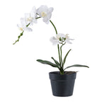 Orchid - Artificial plant, green/white H:49 cm