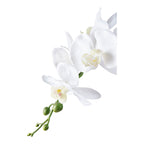 Orchid - Artificial plant, green/white H:49 cm
