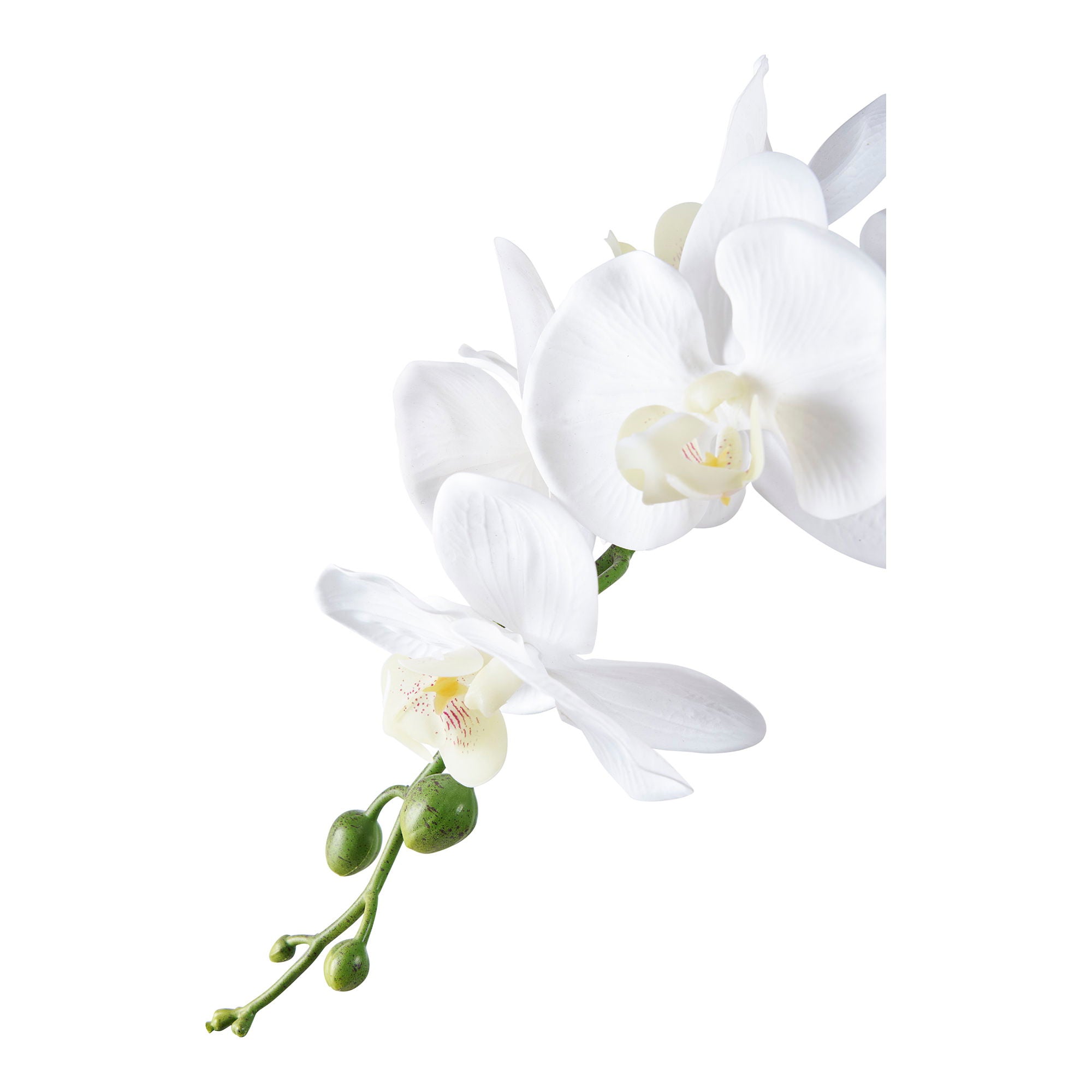 Orchid - Artificial plant, green/white H:49 cm