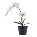 Orchid — Green / White