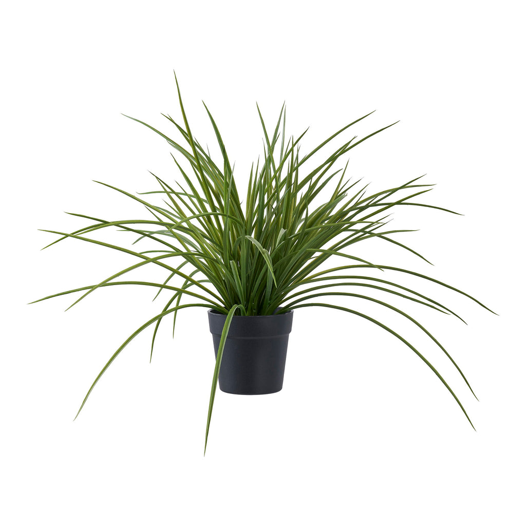 Grass — Green