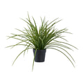 Grass — Green
