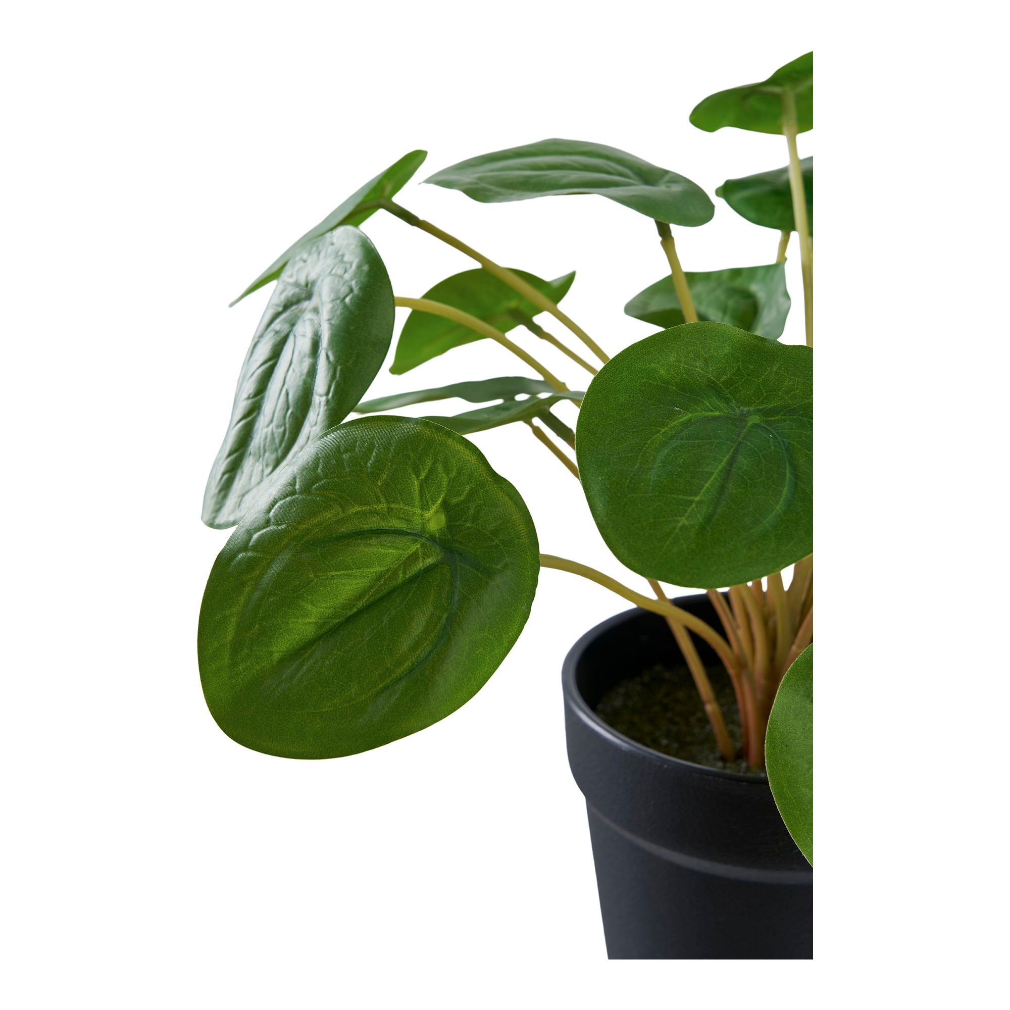 Pelia - Artificial plant, green H:28 cm