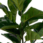 Fiddle Leaf Tree - Artificial plant, green H:100 cm