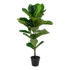 Fiddle Leaf Tree — Green
