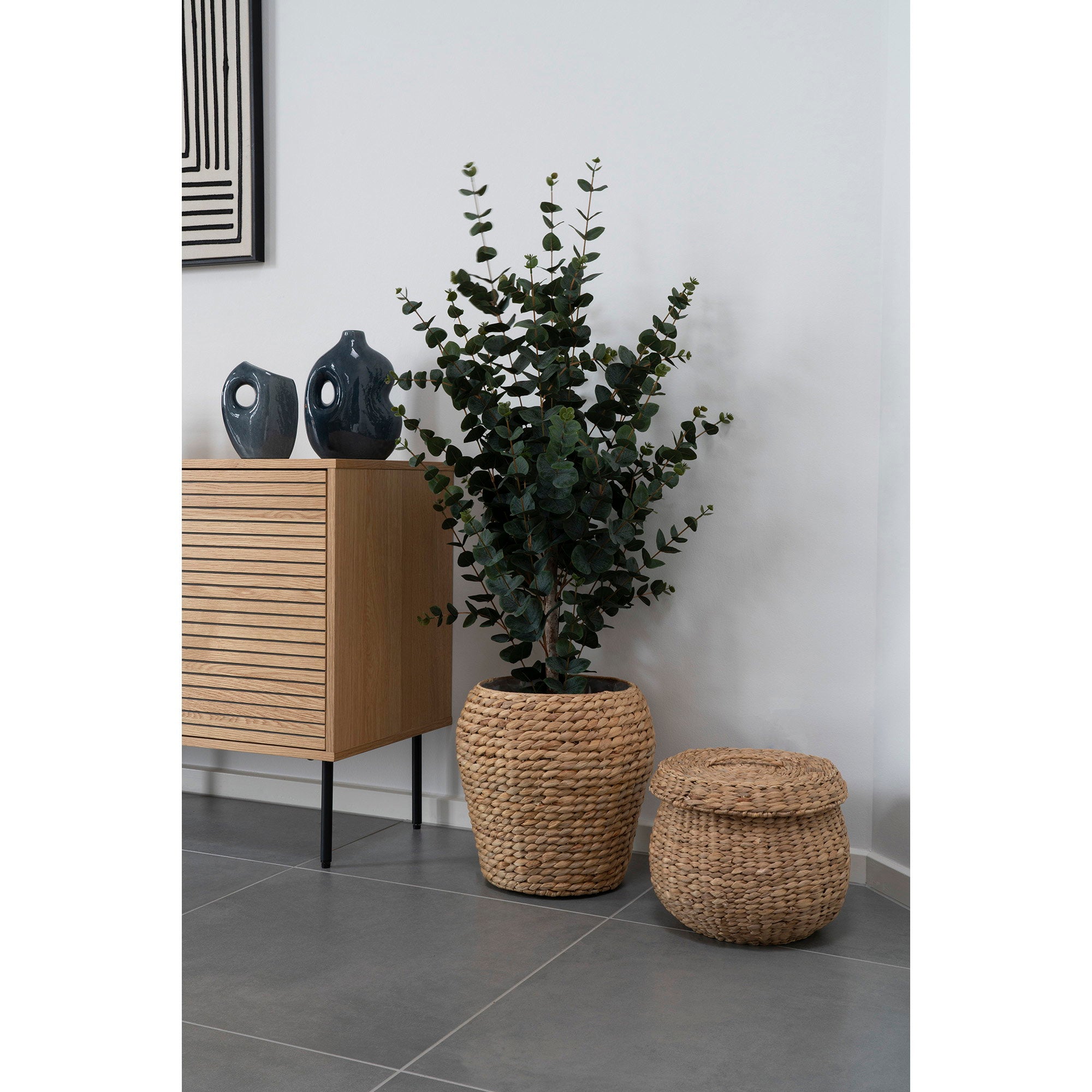 Eucalyptus Tree — Green
