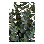 Eucalyptus Tree - Artificial plant, green H:120 cm