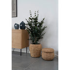 Eucalyptus Tree - Artificial plant, green H:120 cm