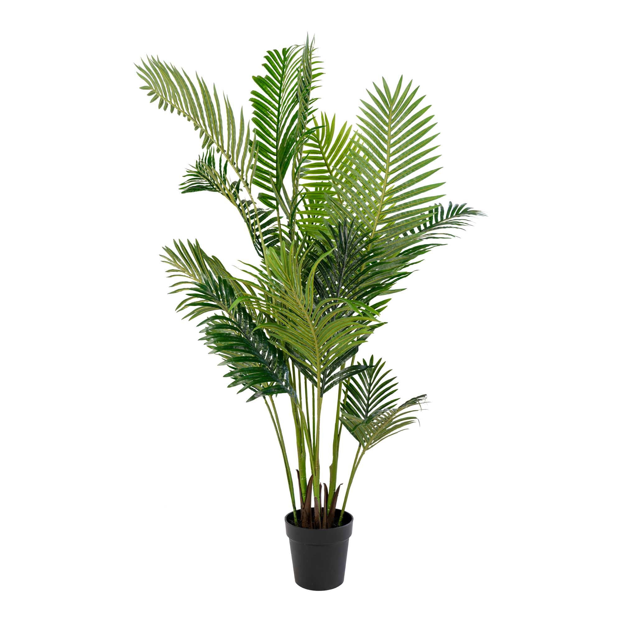 Areca Palm - Artificial palm, green H:175 cm