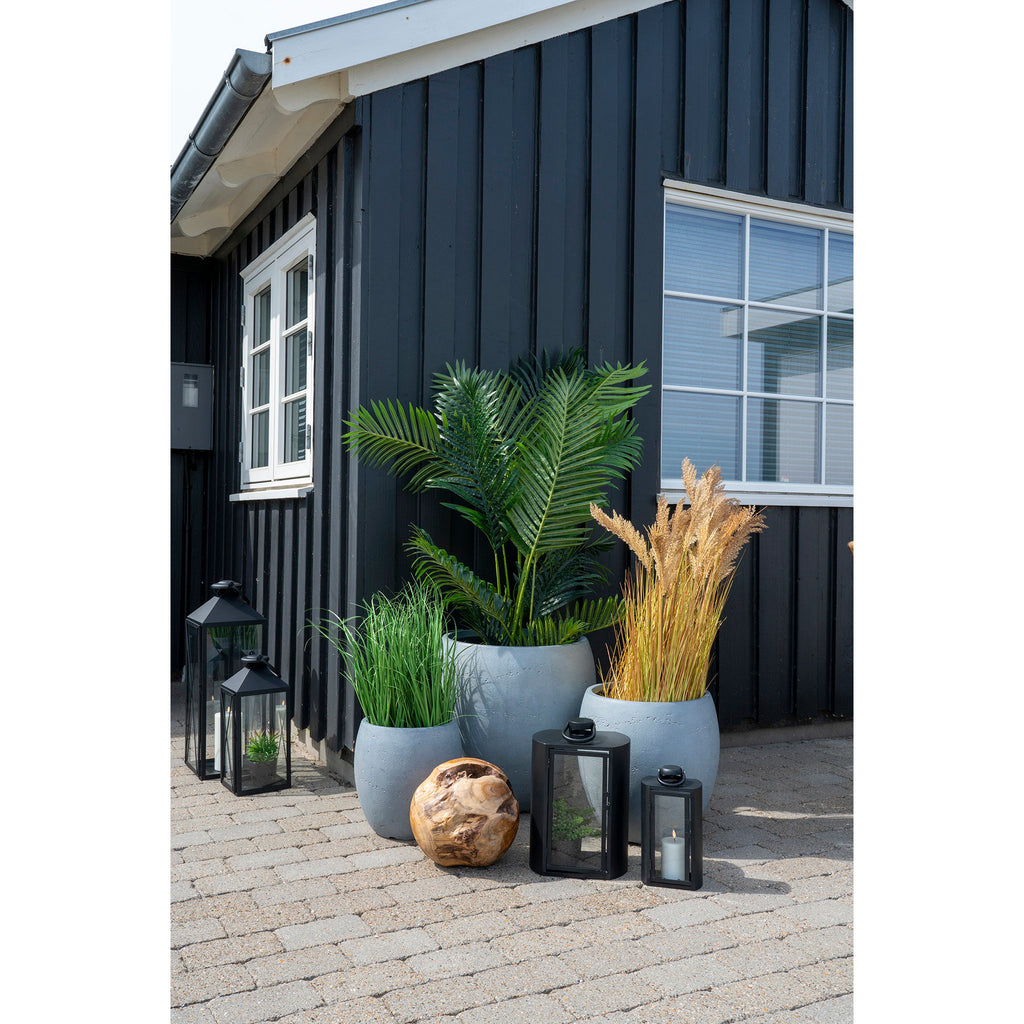 Areca Palm — Green