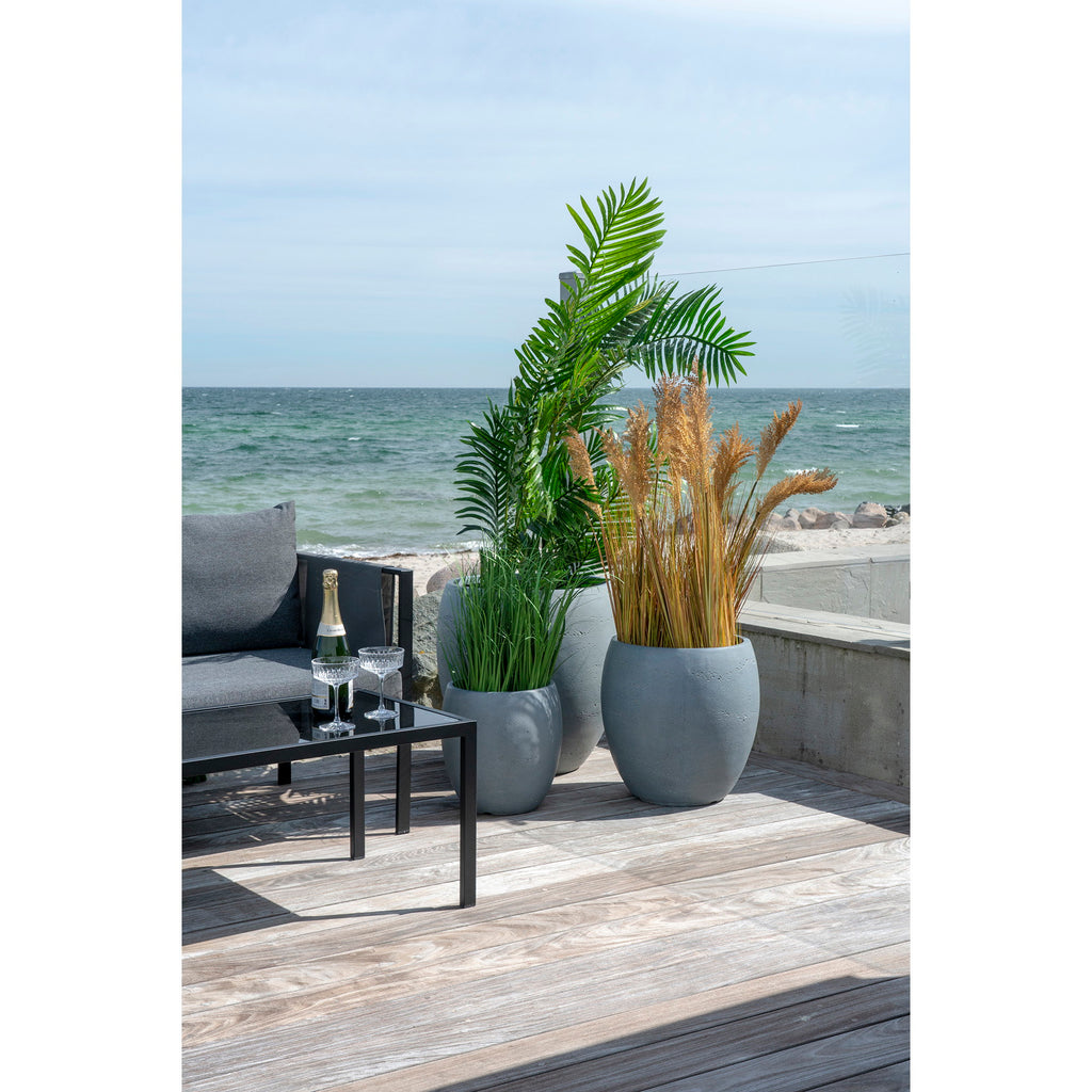 Areca Palm — Green