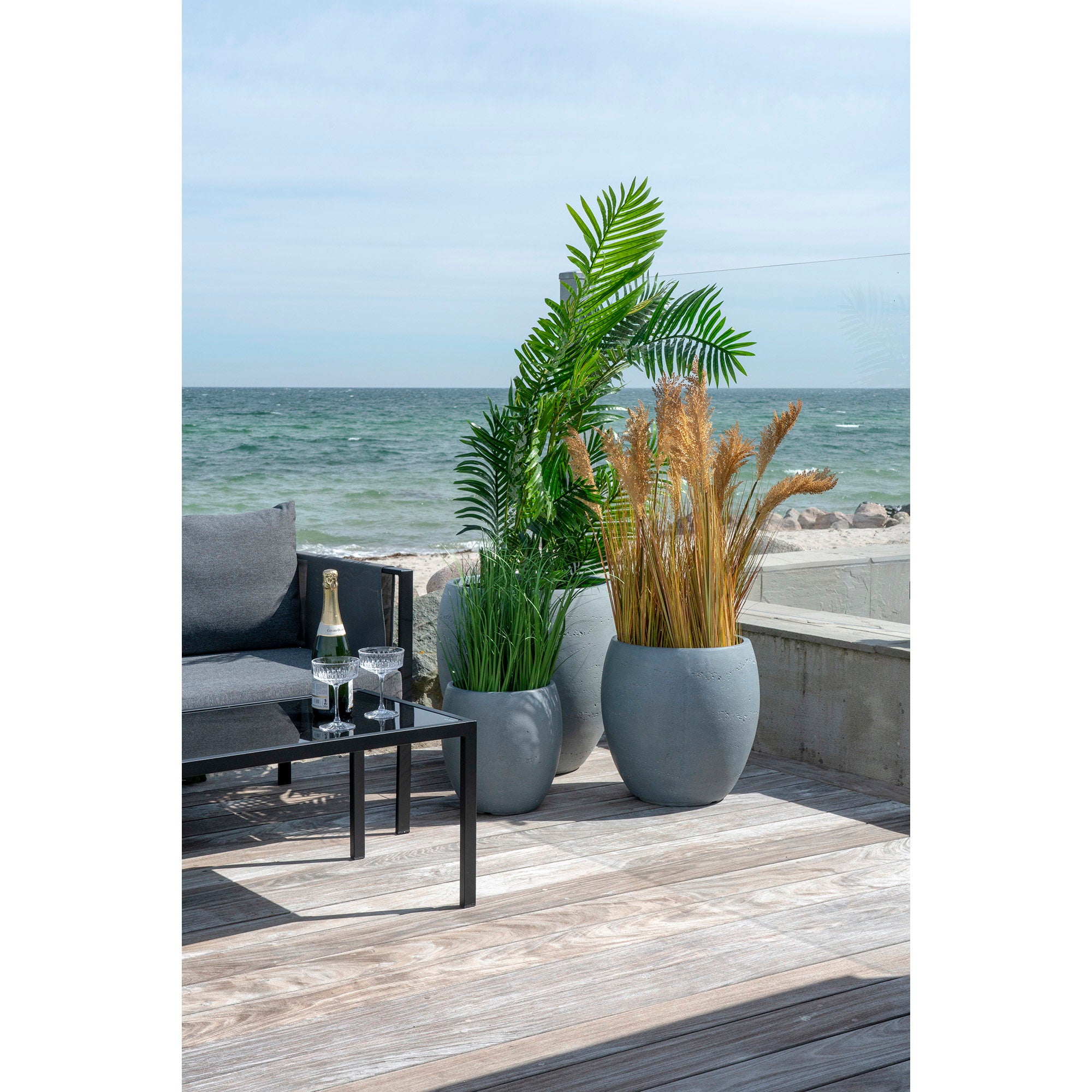 Areca Palm — Green