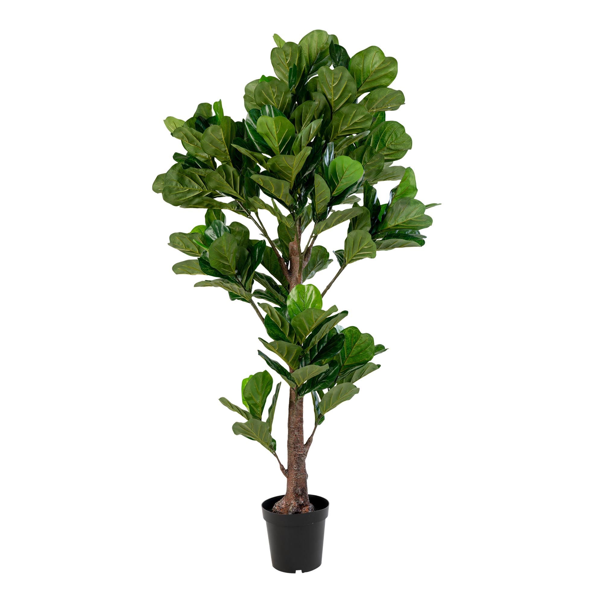 Fiddle Leaf Tree - Artificial plant, green H:190 cm