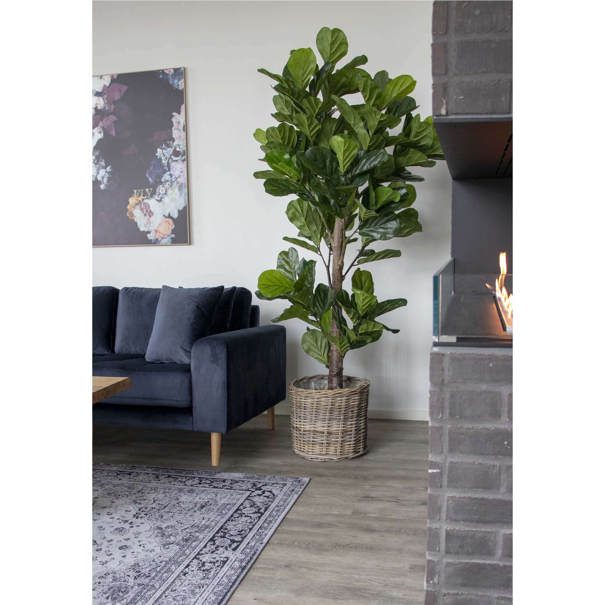 Fiddle Leaf Tree — Green