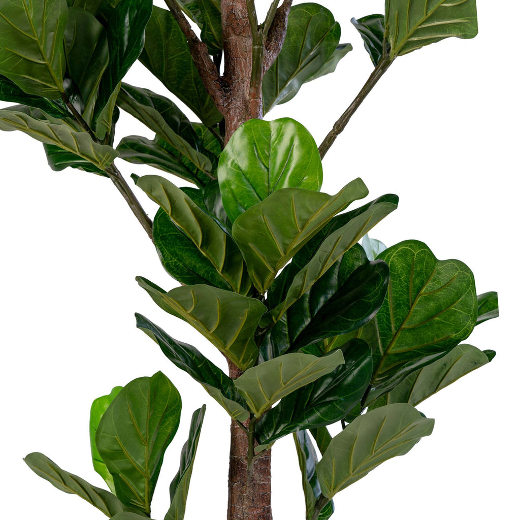Fiddle Leaf Tree - Artificial plant, green H:190 cm