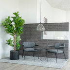 Fiddle Leaf Tree — Green