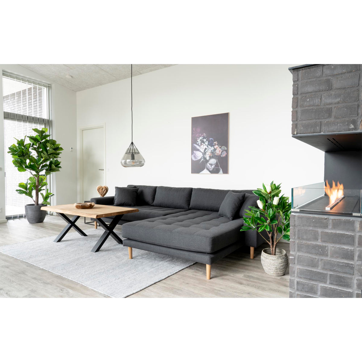 Fiddle Leaf Tree — Green