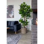 Fiddle Leaf Tree - Artificial plant, green H:190 cm